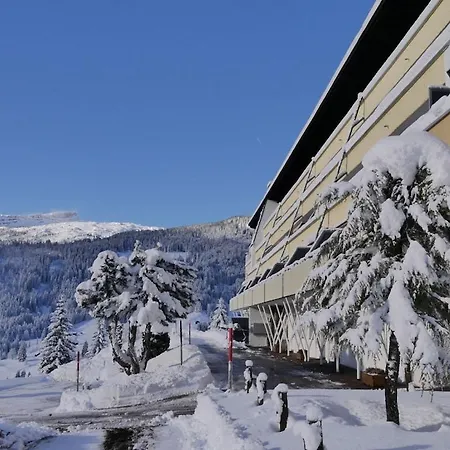 Ferienhaus Sonnalpin Waldhaus Riezlern
