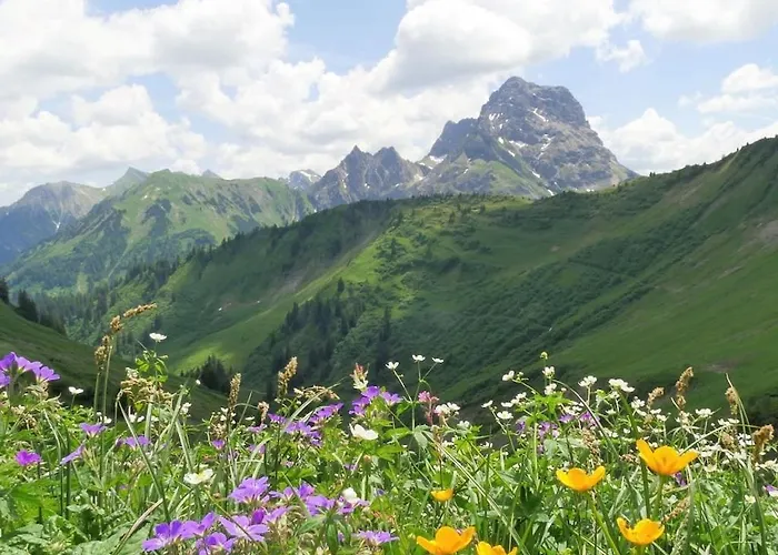 Sonnalpin Waldhaus Ferienhaus Riezlern